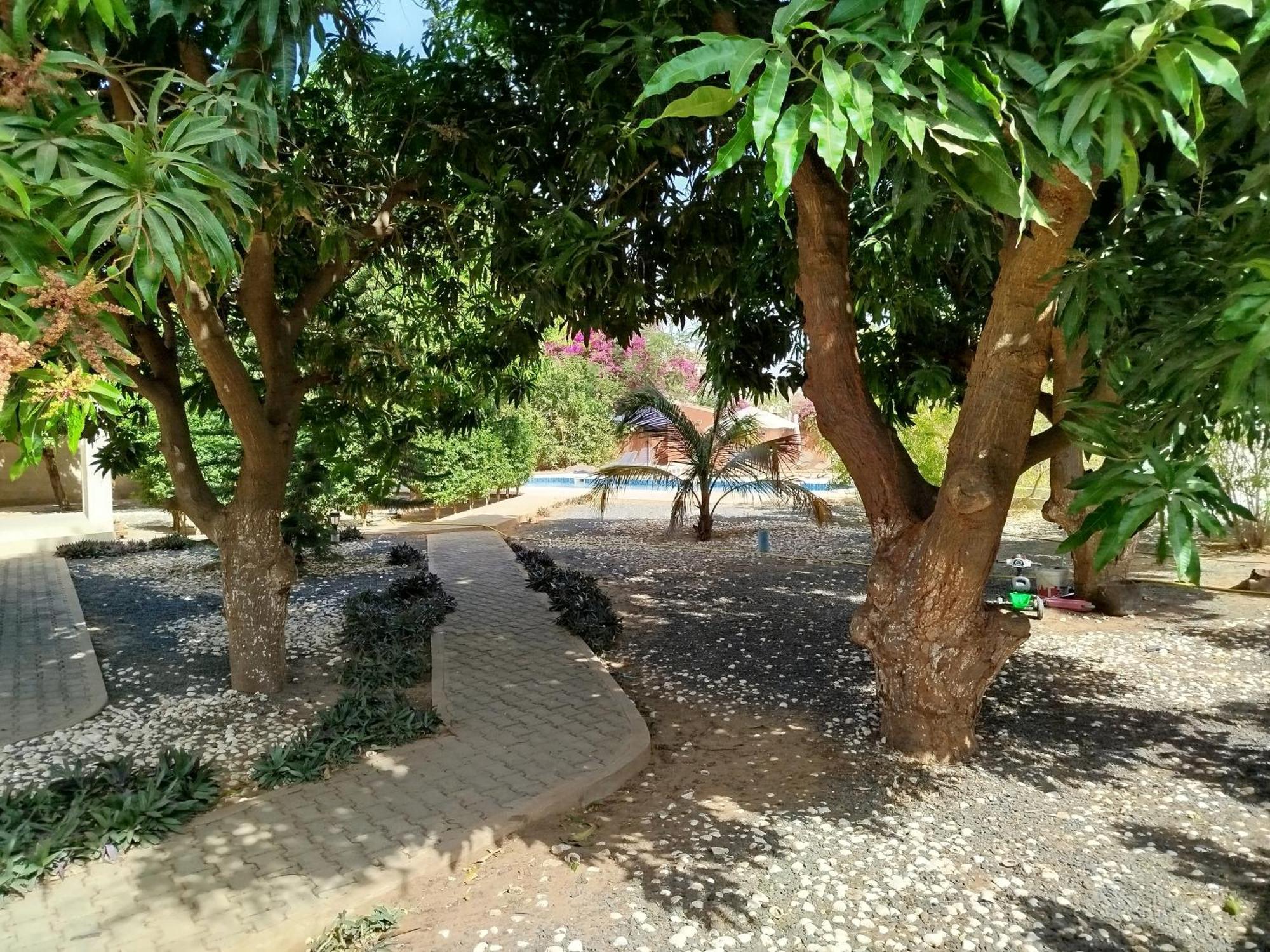 מלון סומון Al Jannah Bis מראה חיצוני תמונה